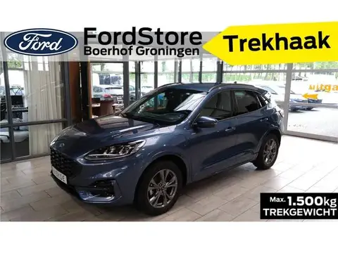 Used FORD KUGA Hybrid 2023 Ad 