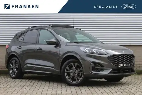 Used FORD KUGA Hybrid 2022 Ad 