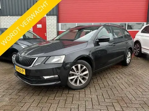 Used SKODA OCTAVIA Petrol 2017 Ad 