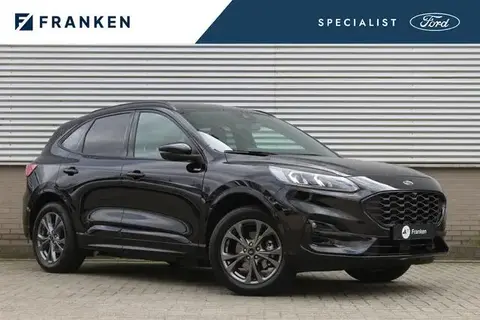 Used FORD KUGA Hybrid 2022 Ad 