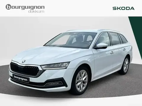 Used SKODA OCTAVIA Petrol 2021 Ad 