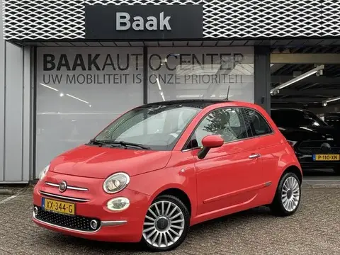 Used FIAT 500 Petrol 2019 Ad 