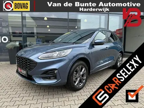 Used FORD KUGA Hybrid 2023 Ad 