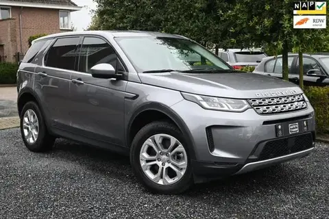 Used LAND ROVER DISCOVERY Hybrid 2021 Ad 