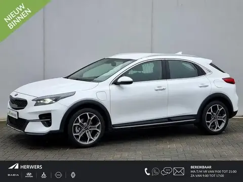 Used KIA XCEED Hybrid 2021 Ad 