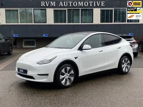 Used TESLA MODEL Y Electric 2023 Ad 