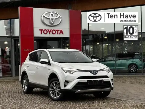 Used TOYOTA RAV4 Hybrid 2016 Ad 