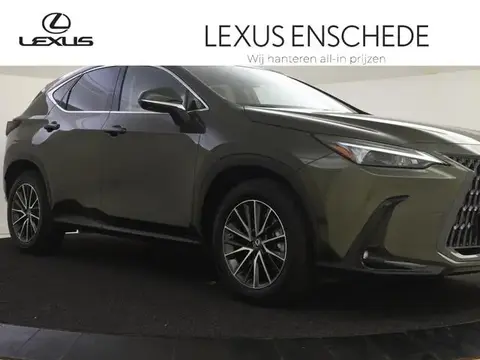 Annonce LEXUS NX Hybride 2022 d'occasion 