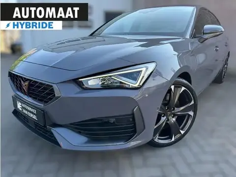 Annonce CUPRA LEON Hybride 2022 d'occasion 