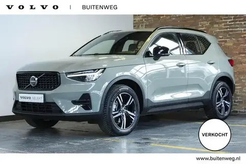 Used VOLVO XC40 Hybrid 2024 Ad 