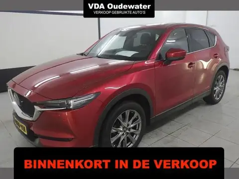 Used MAZDA CX-5 Petrol 2021 Ad 