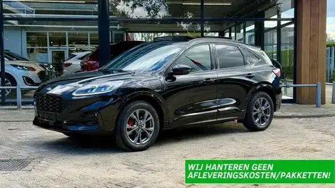 Annonce FORD KUGA Hybride 2023 d'occasion 