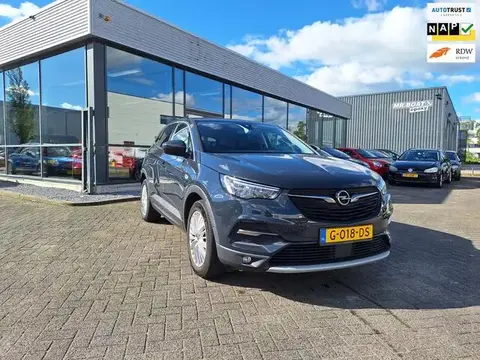 Used OPEL GRANDLAND Petrol 2019 Ad 