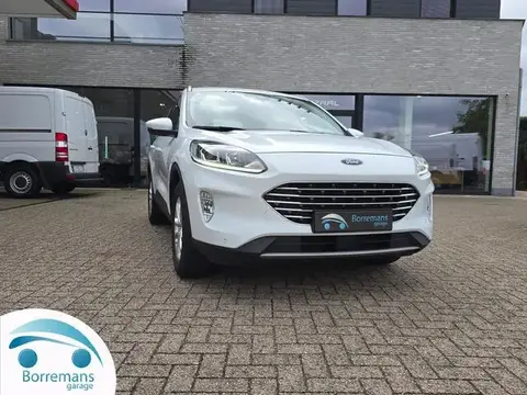 Used FORD KUGA Petrol 2021 Ad 