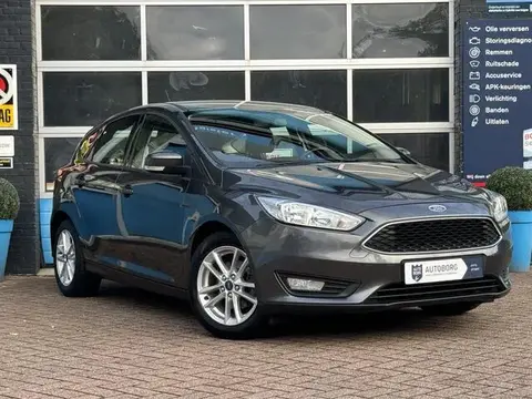 Annonce FORD FOCUS Essence 2017 d'occasion 