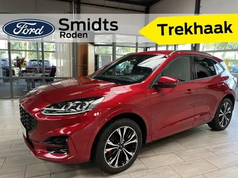 Annonce FORD KUGA Hybride 2023 d'occasion 