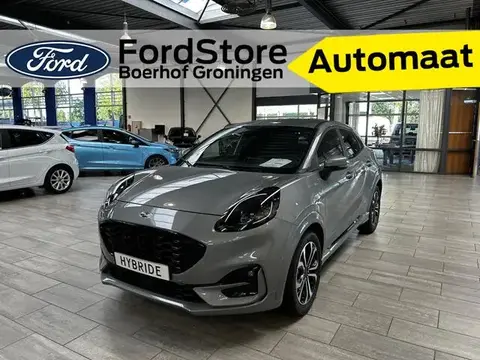 Used FORD PUMA Hybrid 2024 Ad 