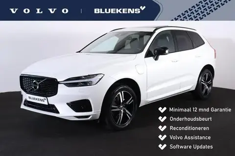 Used VOLVO XC60 Hybrid 2021 Ad 