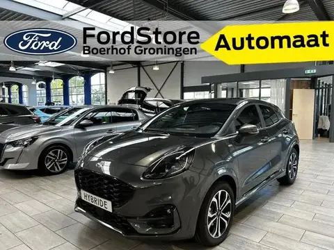 Used FORD PUMA Hybrid 2024 Ad 