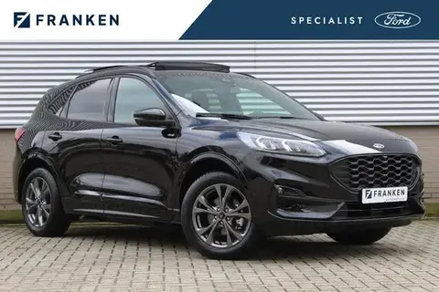 Used FORD KUGA Hybrid 2022 Ad 