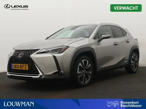 Used LEXUS UX Hybrid 2019 Ad 