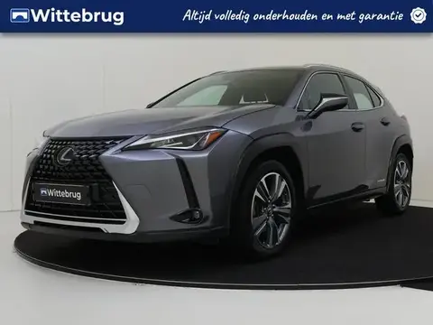 Used LEXUS UX Hybrid 2019 Ad 