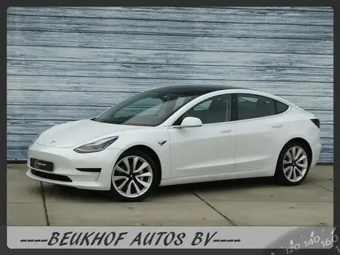 Used TESLA MODEL 3 Electric 2019 Ad 