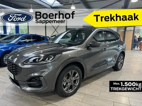 Used FORD KUGA Hybrid 2023 Ad 