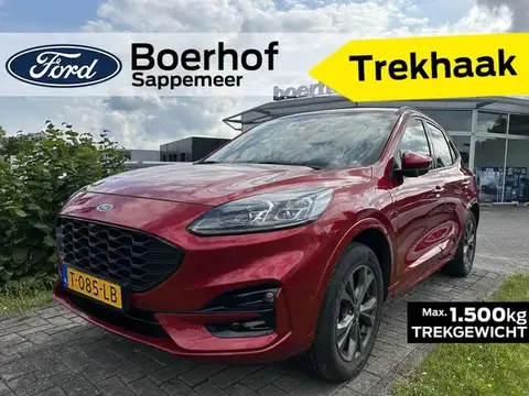 Used FORD KUGA Hybrid 2023 Ad 