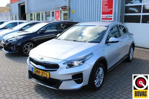 Used KIA XCEED Hybrid 2021 Ad 