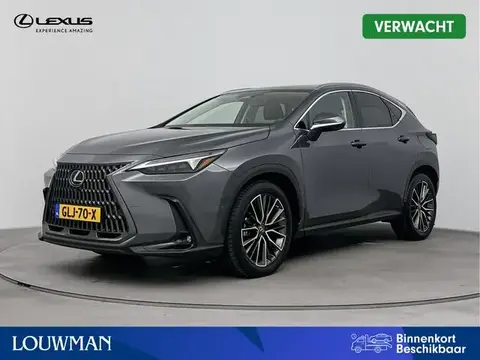 Used LEXUS NX Hybrid 2023 Ad 