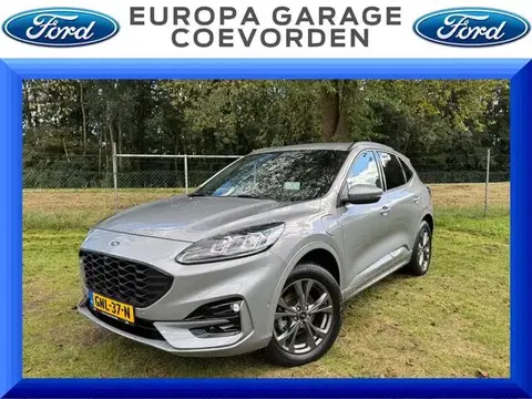 Used FORD KUGA Hybrid 2022 Ad 