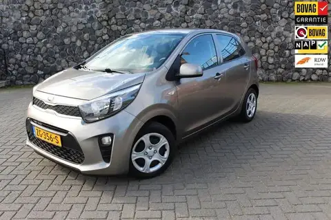 Annonce KIA PICANTO Essence 2019 d'occasion 