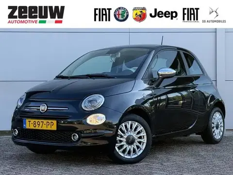 Used FIAT 500 Petrol 2023 Ad 