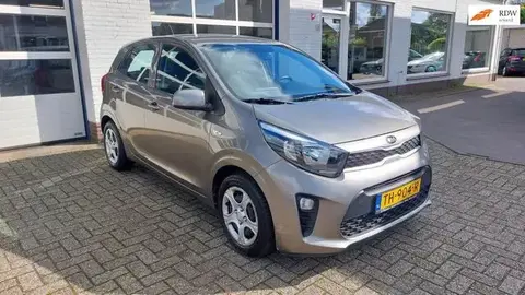 Used KIA PICANTO Petrol 2018 Ad 