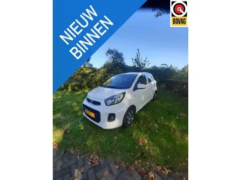 Used KIA PICANTO Petrol 2017 Ad 