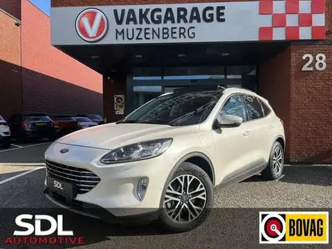 Used FORD KUGA Hybrid 2020 Ad 