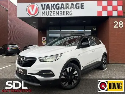 Annonce OPEL GRANDLAND Hybride 2021 d'occasion 