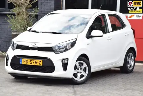 Annonce KIA PICANTO Essence 2017 d'occasion 