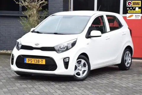 Annonce KIA PICANTO Essence 2017 d'occasion 