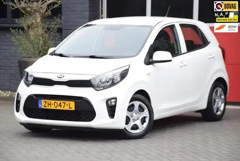 Used KIA PICANTO Petrol 2019 Ad 