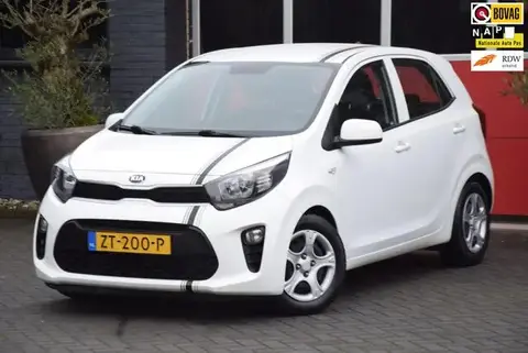 Used KIA PICANTO Petrol 2019 Ad 