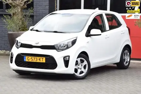 Annonce KIA PICANTO Essence 2019 d'occasion 