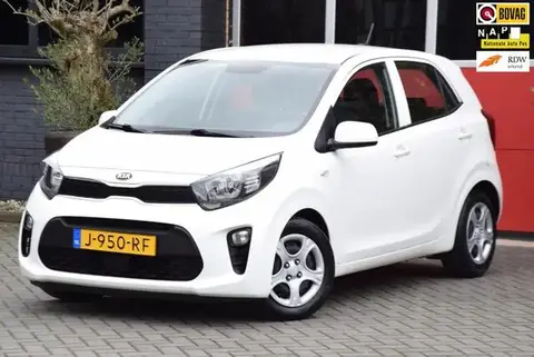 Annonce KIA PICANTO Essence 2020 d'occasion 