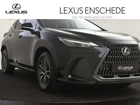 Used LEXUS NX Hybrid 2024 Ad 