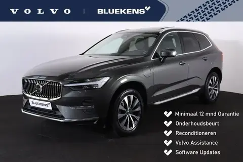 Used VOLVO XC60 Hybrid 2021 Ad 