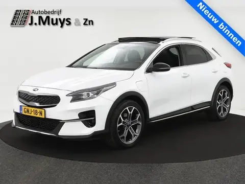 Used KIA XCEED Hybrid 2021 Ad 