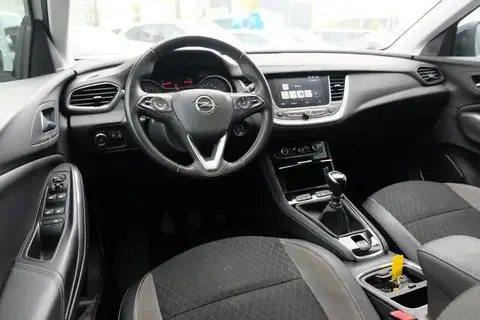 Used OPEL GRANDLAND Petrol 2019 Ad 