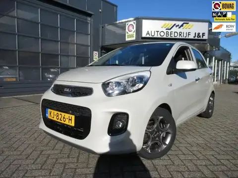 Used KIA PICANTO Petrol 2016 Ad 