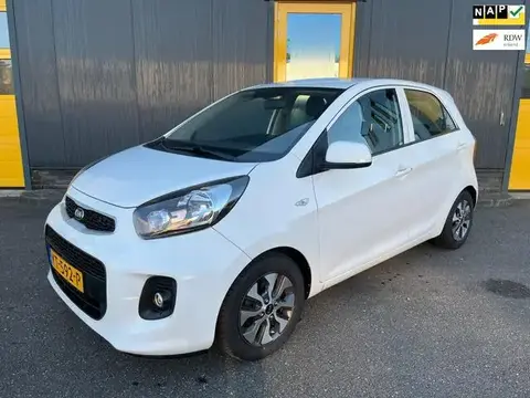 Annonce KIA PICANTO Essence 2017 d'occasion 